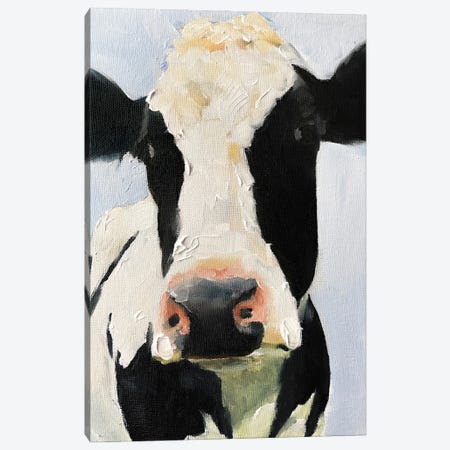 Black And White Cow Canvas Print #JCT18} by James Coates Art Print