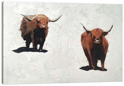 Two Brown Cows Canvas Art Print - Highland Cow Art