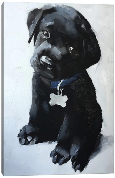 Black Labrador Puppy Canvas Art Print - James Coates