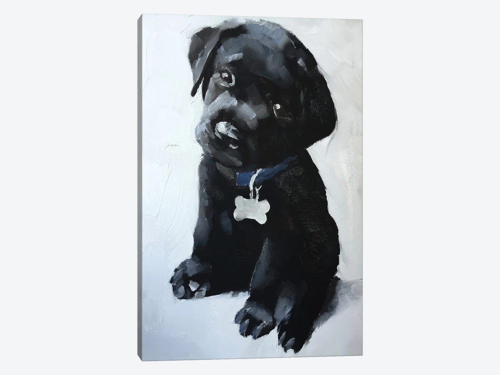 Black Labrador Puppy by James Coates 1-piece Canvas Artwork