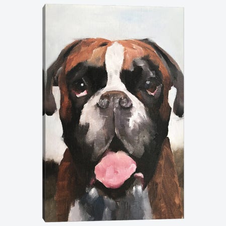 Boxer Dog Canvas Print #JCT24} by James Coates Canvas Art Print