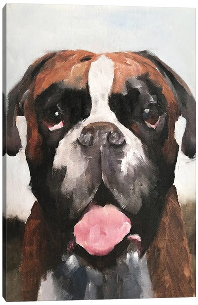 Boxer Dog Canvas Art Print - James Coates