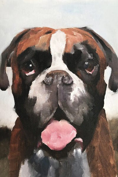 Boxers: Boxer Dog by James Coates