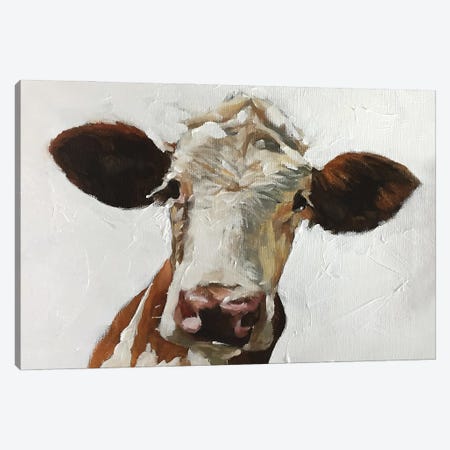 White And Brown Cow Canvas Print #JCT27} by James Coates Canvas Print