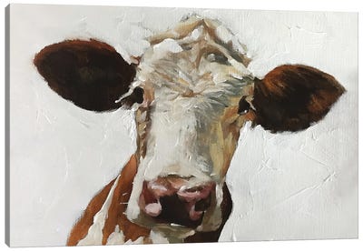 White And Brown Cow Canvas Art Print - James Coates