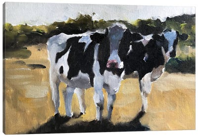 Two Cows In A Field Canvas Art Print - James Coates