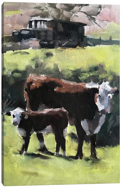 Cow And Calf Canvas Art Print - James Coates