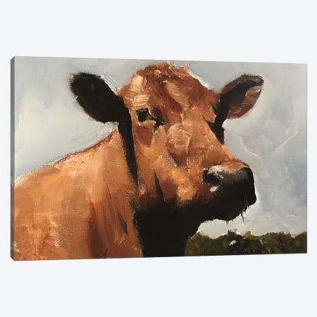 Cow Canvas Print #JCT44} by James Coates Canvas Art Print