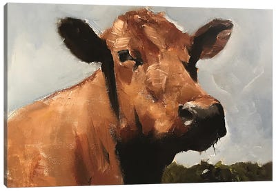 Cow Canvas Art Print - James Coates