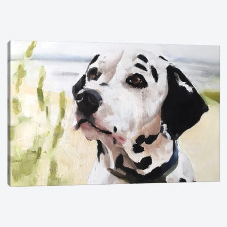Dalmatian Dog Canvas Print #JCT51} by James Coates Art Print