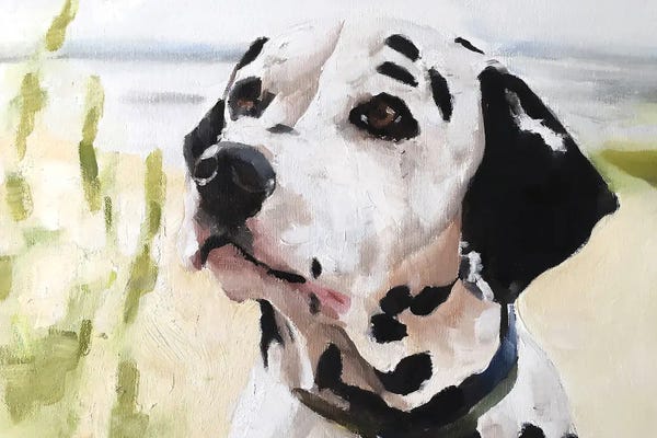 Dalmatians: Dalmatian Dog by James Coates