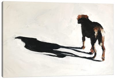 Dog And Shadow Canvas Art Print - James Coates