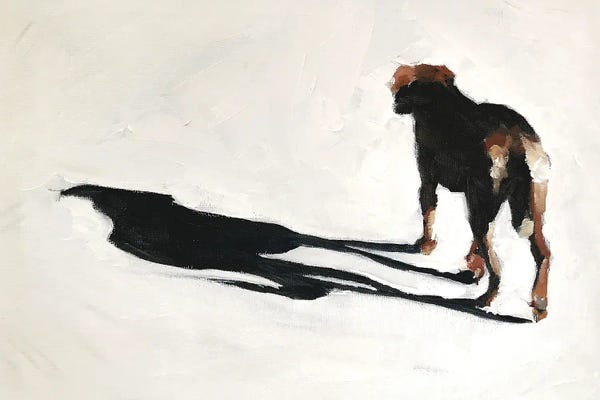 The Modern Man's Best Friend: Dog And Shadow by James Coates