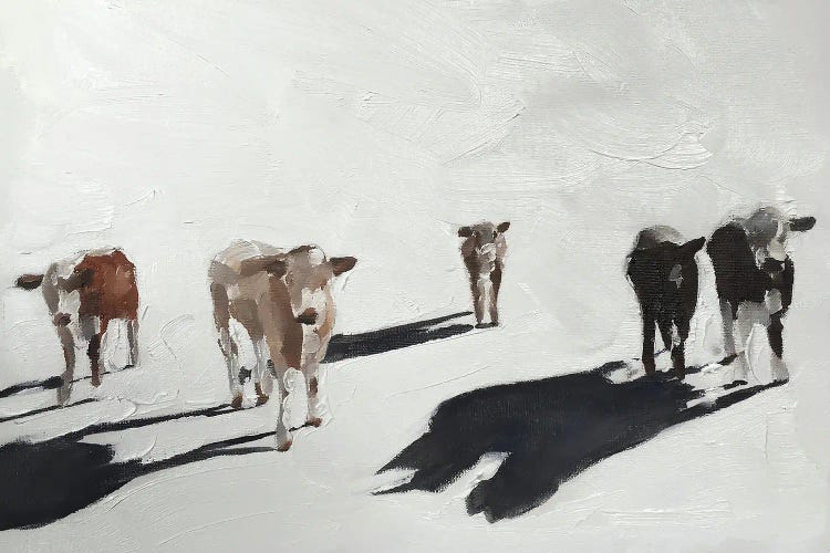 Five Cows