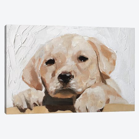 Golden Labrador Puppy Canvas Print #JCT62} by James Coates Canvas Art