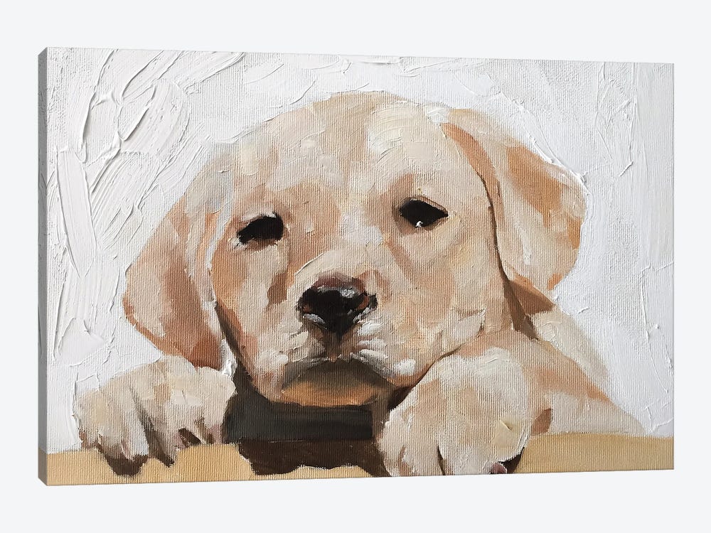 Golden Labrador Puppy by James Coates 1-piece Art Print