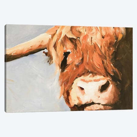 Grumpy Cow Canvas Print #JCT64} by James Coates Canvas Art Print