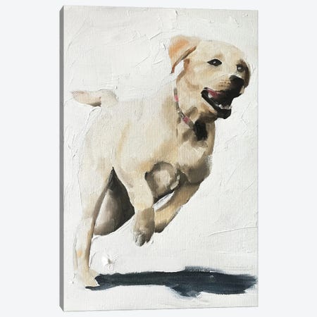 Happy Labrador Canvas Print #JCT67} by James Coates Canvas Art Print