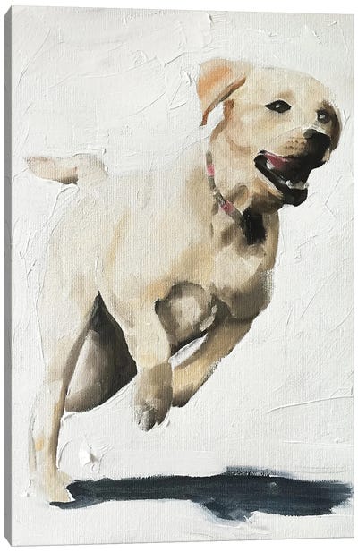 Happy Labrador Canvas Art Print - James Coates