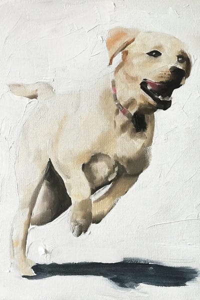 The Modern Man's Best Friend: Happy Labrador by James Coates