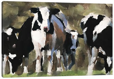 Heard Of Cows Canvas Art Print - James Coates