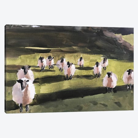 A Field Of Sheep Canvas Print #JCT7} by James Coates Canvas Artwork