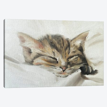 Kitten Canvas Print #JCT84} by James Coates Canvas Print