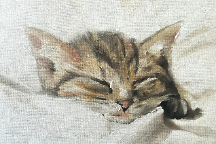 Kitten by James Coates wall art