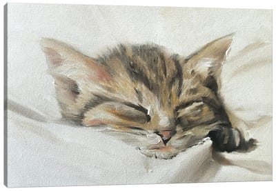 Kitten Canvas Art Print - Tabby Cat Art