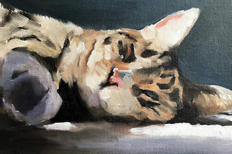 Lazy Cat by James Coates wall art