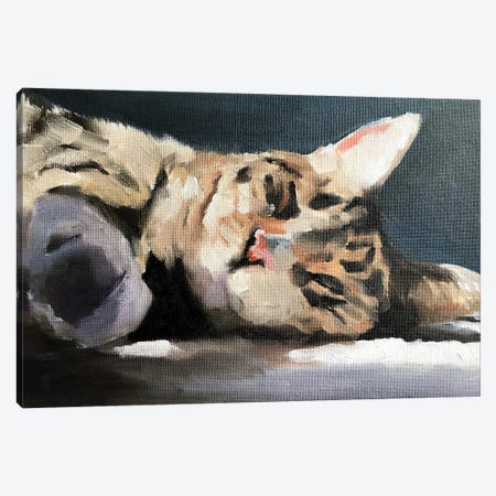 Lazy Cat Canvas Print #JCT87} by James Coates Canvas Art Print