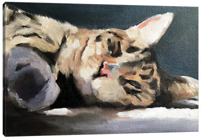 Lazy Cat Canvas Art Print - James Coates