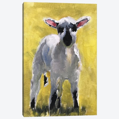 Little Lamb Canvas Print #JCT88} by James Coates Canvas Art
