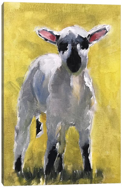 Little Lamb Canvas Art Print - James Coates