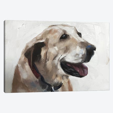 Old Dog Canvas Print #JCT99} by James Coates Art Print