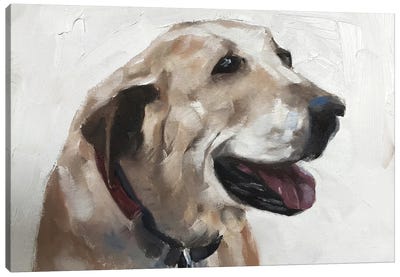 Old Dog Canvas Art Print - James Coates