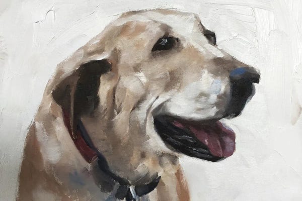 Labrador Retrievers: Old Dog by James Coates