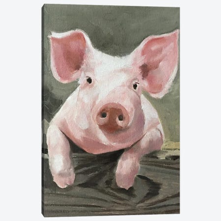 A Pig Canvas Print #JCT9} by James Coates Canvas Print