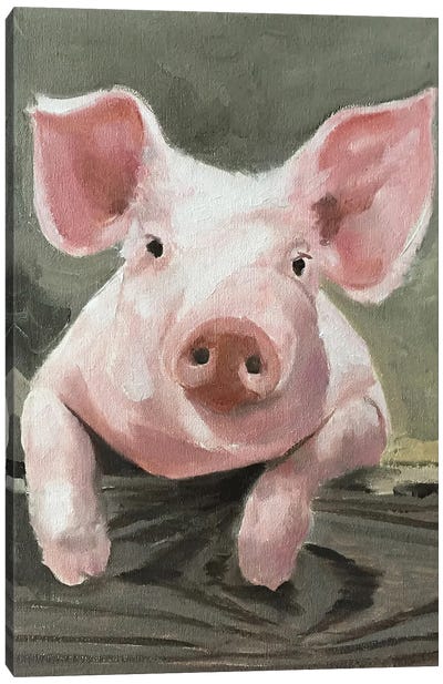 A Pig Canvas Art Print - James Coates
