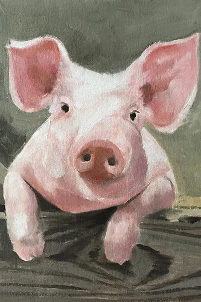 Pigs: A Pig by James Coates