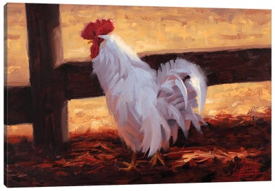Chicken & Light Canvas Art Print - Jim Connelly