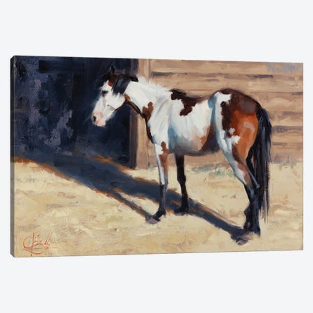 Horse With No Name Canvas Print #JCY30} by Jim Connelly Canvas Artwork