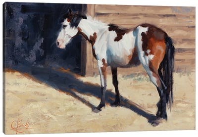 Horse With No Name Canvas Art Print - Jim Connelly