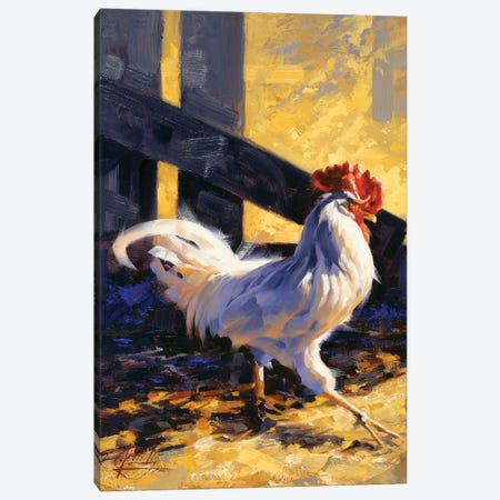 Rooster King Canvas Print #JCY55} by Jim Connelly Art Print