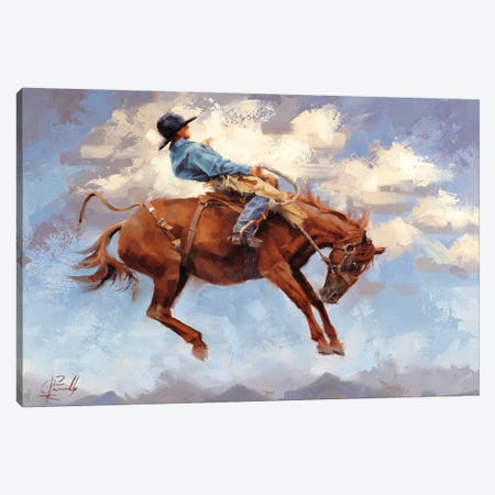 Skyhigh Canvas Print #JCY62} by Jim Connelly Canvas Art Print