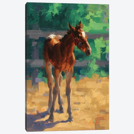 Small Shot Canvas Print #JCY67} by Jim Connelly Canvas Artwork