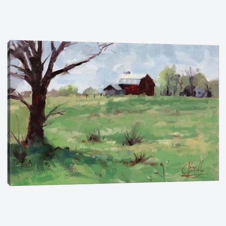 Barn Canvas Print #JCY6} by Jim Connelly Canvas Print