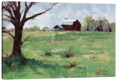 Barn Canvas Art Print - Jim Connelly