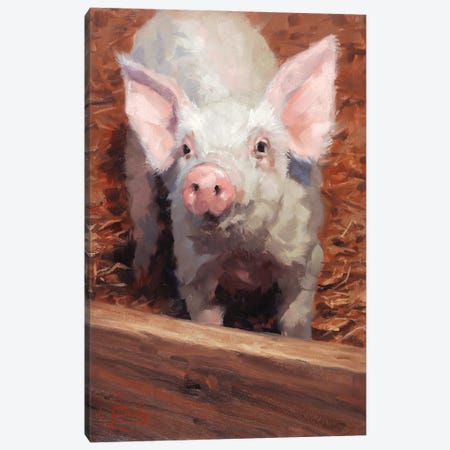 That Little Piggy Canvas Print #JCY78} by Jim Connelly Canvas Wall Art