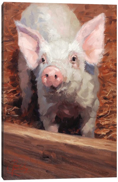 That Little Piggy Canvas Art Print - Jim Connelly